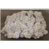 Image 1 : XXL 40 lb "Desert Rose" GYPSUM and Selenite Crystal Formation