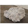 Image 3 : XXL 40 lb "Desert Rose" GYPSUM and Selenite Crystal Formation
