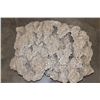 Image 5 : XXL 40 lb "Desert Rose" GYPSUM and Selenite Crystal Formation