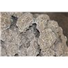 Image 7 : XXL 40 lb "Desert Rose" GYPSUM and Selenite Crystal Formation