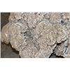 Image 8 : XXL 40 lb "Desert Rose" GYPSUM and Selenite Crystal Formation