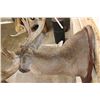 Image 10 : 22-Point WHITETAIL DEER Shoulder Mount with Reproduction Antlers after Harold Keitzman's 1940's Find