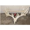 Image 2 : Massive WHITETAIL DEER Antler Rack with 34-Points