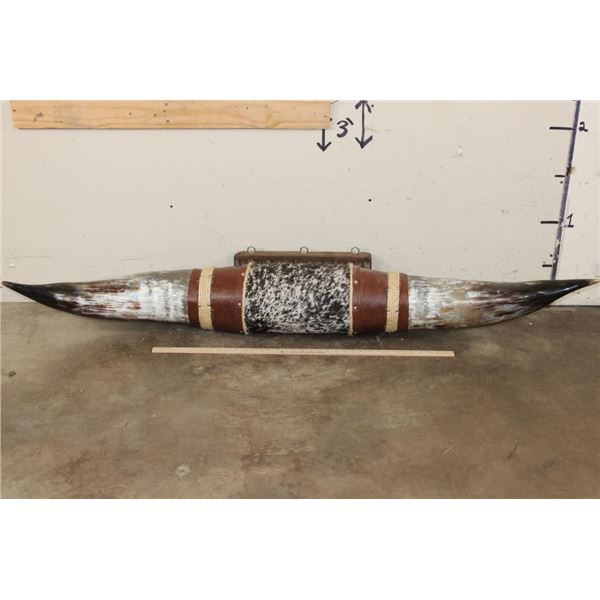 XL Polished and Mounted WATUSI Horns