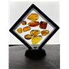 Image 13 : (10) Pieces of Authentic Myanmar AMBER Fossil Insect Specimens, Weight: 15.03 g (ONE$)