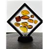 Image 14 : (10) Pieces of Authentic Myanmar AMBER Fossil Insect Specimens, Weight: 15.03 g (ONE$)