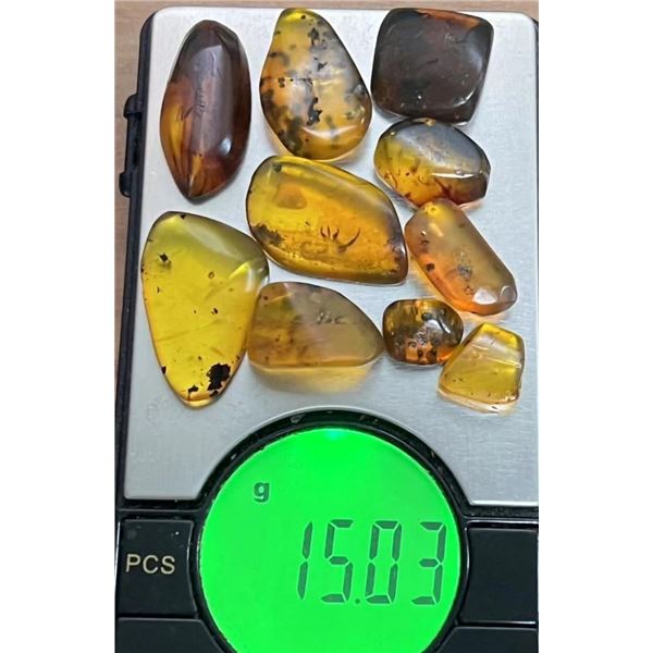 (10) Pieces of Authentic Myanmar AMBER Fossil Insect Specimens, Weight: 15.03 g (ONE$)