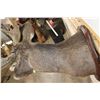 Image 11 : 29-Point MULE DEER Shoulder Mount with Reproduction Antlers after the "Buck of Justice"