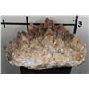 Image 1 : XXL 62lb 10oz Smokey and Honey Dogtooth CALCITE Crystal Cluster Formation