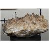 Image 2 : XXL 62lb 10oz Smokey and Honey Dogtooth CALCITE Crystal Cluster Formation