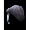 Image 4 : *New* and *Rarely Seen* Huge Reproduction WALRUS Shoulder Mount