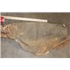 Image 3 : *Rarely Seen* Big African ELEPHANT Preputial Sheath or "Foreskin" Hide