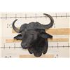 Image 2 : Big CAPE BUFFALO Shoulder Mount
