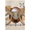 Image 4 : Massive XXL Heavy 14-Point ELK Antler Rack on a Wood Plaque