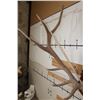 Image 6 : Massive XXL Heavy 14-Point ELK Antler Rack on a Wood Plaque