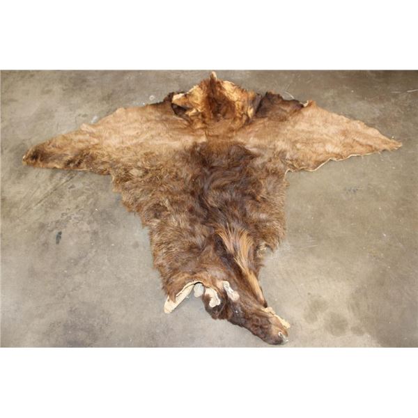 ELK Cape for a Taxidermy Shoulder Mount
