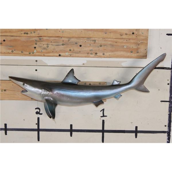 Reproduction SAND TIGER SHARK Mount