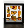 Image 12 : (10) Pieces of Authentic Myanmar AMBER Fossil Insect and Plant Specimens, Weight: 11.9 g (ONE$)