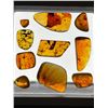 Image 14 : (10) Pieces of Authentic Myanmar AMBER Fossil Insect and Plant Specimens, Weight: 11.9 g (ONE$)