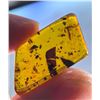 Image 3 : (10) Pieces of Authentic Myanmar AMBER Fossil Insect and Plant Specimens, Weight: 11.9 g (ONE$)