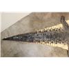 Image 14 : Big CROCODILE Hide Rug with a Felt and its Mounted Head