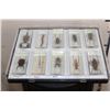 Image 12 : (10) Insects and Arthropods preserved in Resin Blocks with Labels (ONE$)