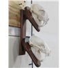 Image 6 : BOBCAT and NORTH AMERICAN BADGER Skulls on Wood Wall Pedestal