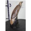 Image 7 : Beautiful EAGLE Carved and Scrimshawed from a WATER BUFFALO Horn