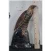 Image 9 : Beautiful EAGLE Carved and Scrimshawed from a WATER BUFFALO Horn