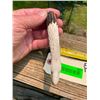 Image 6 : Hand-carved STAG Antler Handle depicting a BALD EAGLE