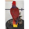 Image 4 : *Rarely Seen* Life-sized VIOLET-NECKED Lory (Parrot Species) on a Driftwood Base