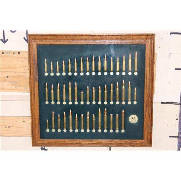 Tatonka Cartridge Display in a Glass and Wood Shadowbox Frame