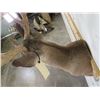 Image 8 : 10-Point WHITETAIL DEER Shoulder Mount with a Big Rack