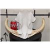 Image 1 : Big WARTHOG Skull with *Real* XL Tusks and Reproduction Teeth