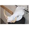Image 2 : Big WARTHOG Skull with *Real* XL Tusks and Reproduction Teeth
