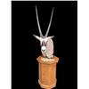 Image 1 : Large AFRICAN GEMSBOK Pedestal Mount on an Oak Base