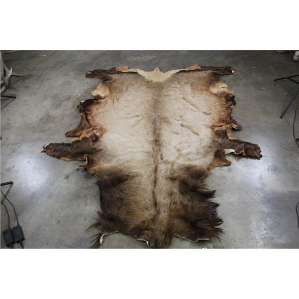 ELK Hide or Pelt