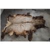 Image 2 : ELK Hide or Pelt