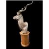 Image 2 : Trophy Sized AFRICAN KUDU Pedestal Mount on an Oak Base