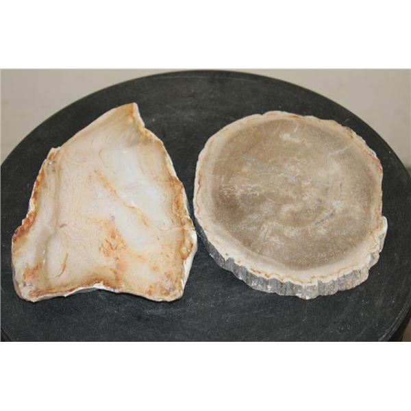(2) PETRIFIED FOSSILIZED WOOD Slab Slices from Indonesia (ONE$)