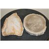 Image 1 : (2) PETRIFIED FOSSILIZED WOOD Slab Slices from Indonesia (ONE$)