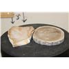Image 7 : (2) PETRIFIED FOSSILIZED WOOD Slab Slices from Indonesia (ONE$)