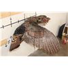 Image 4 : Life-sized Flying TURKEY with a Hook to Hang from the Ceiling