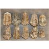 Image 1 : (10) TRILOBITE Fossils from Morocco (ONE$)
