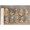 Image 2 : (10) TRILOBITE Fossils from Morocco (ONE$)