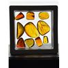 Image 13 : (10) Pieces of Authentic Myanmar AMBER Fossil Insect and Plant Specimens, Weight: 8.47 g (ONE$)