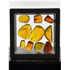 Image 14 : (10) Pieces of Authentic Myanmar AMBER Fossil Insect and Plant Specimens, Weight: 8.47 g (ONE$)