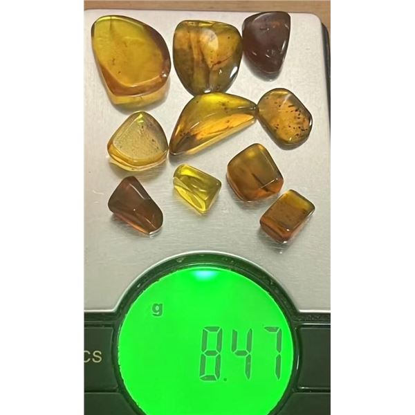 (10) Pieces of Authentic Myanmar AMBER Fossil Insect and Plant Specimens, Weight: 8.47 g (ONE$)