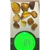 Image 1 : (10) Pieces of Authentic Myanmar AMBER Fossil Insect and Plant Specimens, Weight: 8.47 g (ONE$)
