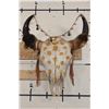 Image 1 : Painted and Embellished BUFFALO/BISON Skull